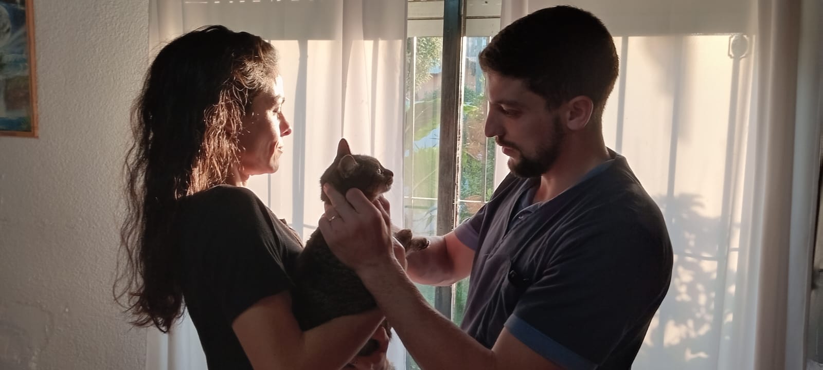 Veterinario revisando un gato junto a su dueña