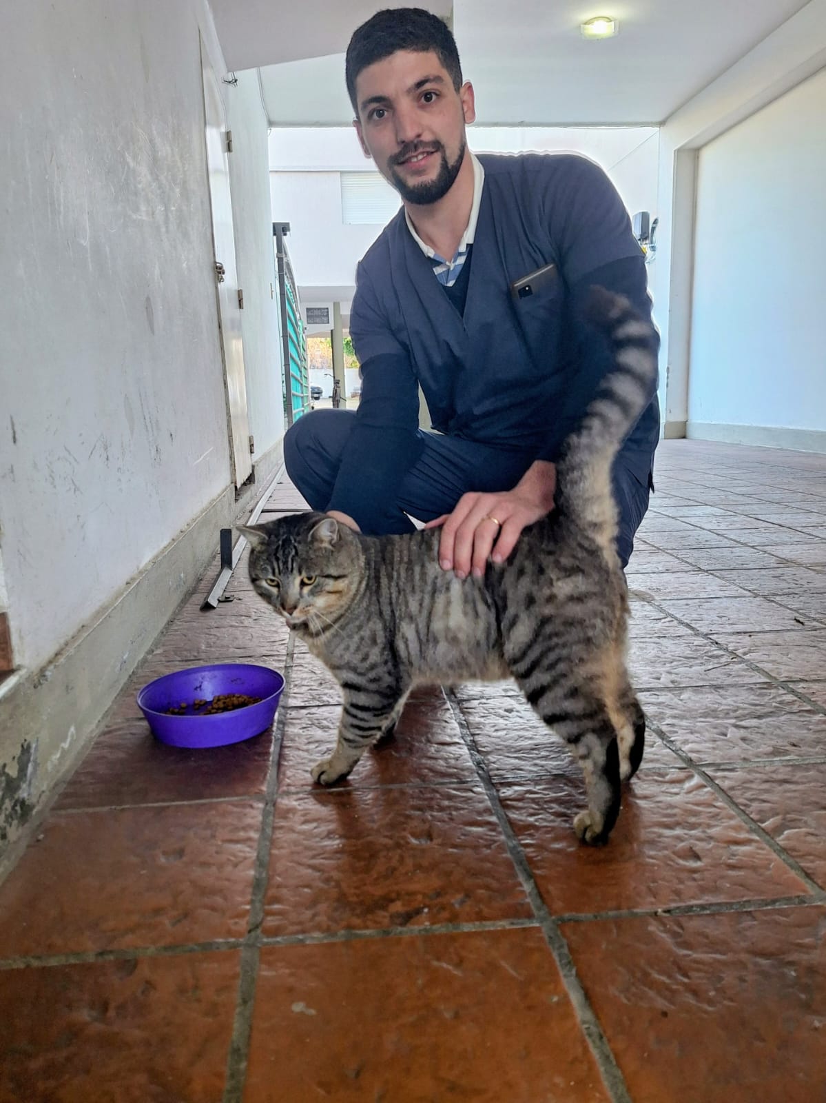 Veterinario con gato tabby