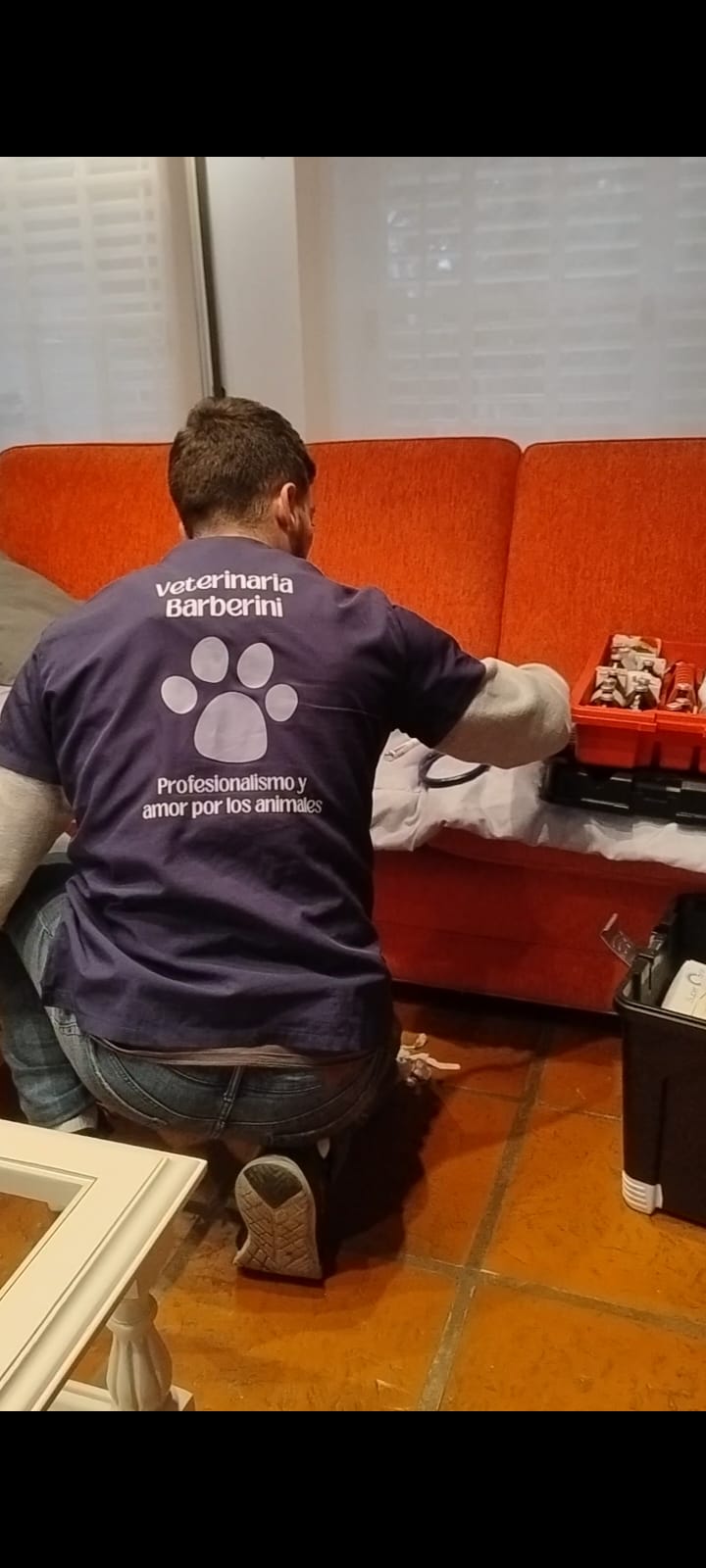 Veterinario preparando equipamiento en casa
